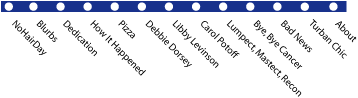 Elsa's Blue Line Subway Navigation